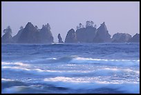 Waves and seastacks, Shi-Shi Beach. Olympic National Park, Washington, USA. (color)