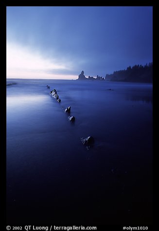 Dusk, Shi-shi beach. Olympic National Park, Washington, USA.