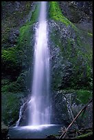 Marymere falls, spring. Olympic National Park ( color)