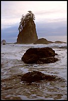 Rocks, seastacks and surf, Second Beach. Olympic National Park, Washington, USA. (color)