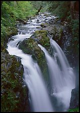Sol Duc river and falls. Olympic National Park, Washington, USA. (color)
