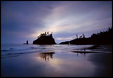 Seastacks reflected at sunset on wet sand, Second Beach. Olympic National Park ( color)