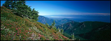 View over straight from mountains. Olympic National Park (Panoramic color)