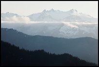 Olympic range and ridges. Olympic National Park ( color)