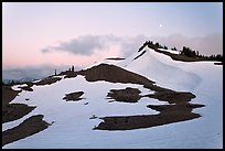 Neve on hill at dusk near Obstruction Point. Olympic National Park, Washington, USA. (color)