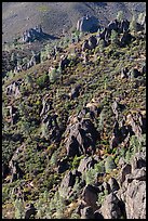 Slope with mediterranean chaparral and rock towers. Pinnacles National Park, California, USA. (color)