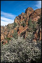 Spring blooms and high peaks from Juniper Canyon. Pinnacles National Park, California, USA. (color)