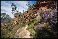 Juniper Canyon trail in spring. Pinnacles National Park ( color)