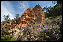 Lupine and rock towers in Juniper Canyon. Pinnacles National Park, California, USA.
