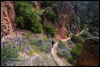 Hiker on trail in spring. Pinnacles National Park, California, USA.