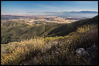 Wildflowers and Salinas Valley. Pinnacles National Park ( color)