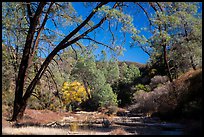 Dry Chalone Creek along Old Pinnacles Trail in autumn. Pinnacles National Park, California, USA.