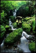 Cascade and mossy rocks, Prairie Creek. Redwood National Park, California, USA. (color)