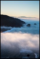 Costal clouds in early morning, Klamath River Overlook. Redwood National Park, California, USA.