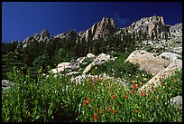Alta Peak range. Sequoia National Park ( color)