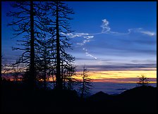 Sky trails at sunset. Sequoia National Park, California, USA. (color)
