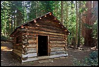Squatters Cabin. Sequoia National Park ( color)