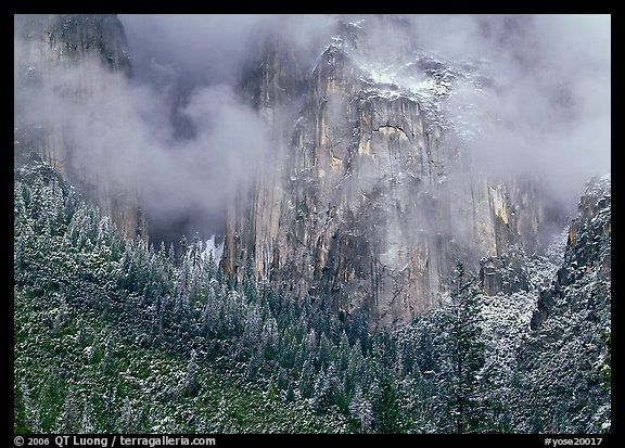 Trees, cliffs and mist. Yosemite National Park (color)