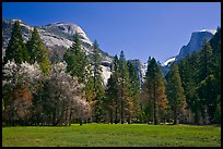 Meadow, North Dome, and Half Dome in spring. Yosemite National Park, California, USA.