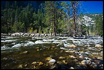 Wide stretch of Merced River in spring, Lower Merced Canyon. Yosemite National Park, California, USA.