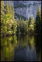 Trees reflected in river at the base of El Capitan in spring. Yosemite National Park, California, USA.