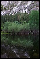 Refections and green trees, Mirror Lake. Yosemite National Park, California, USA.