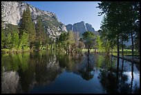 Swollen Merced River reflecting trees and cliffs. Yosemite National Park, California, USA.