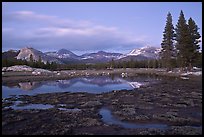 Tuolumne Meadows with domes reflected in early spring, dusk. Yosemite National Park, California, USA. (color)