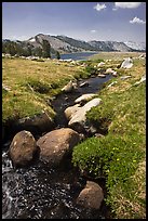 Boulders, stream, and lower Gaylor Lake. Yosemite National Park, California, USA.
