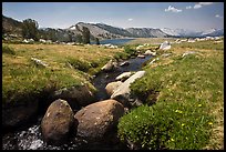 Alpine scenery with stream and distant Gaylor Lake. Yosemite National Park, California, USA.