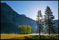 Sun and Ahwanhee Meadows in spring. Yosemite National Park, California, USA. (color)