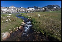 Meadow, stream, and Evelyn Lake. Yosemite National Park, California, USA. (color)