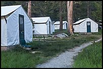 Tuolumne Lodge tents. Yosemite National Park, California, USA. (color)