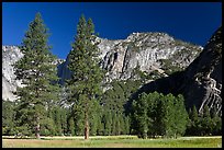 Ahwanhee Meadow, summer. Yosemite National Park, California, USA. (color)