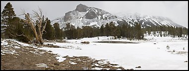 Tioga Pass, peaks and snow-covered meadow. Yosemite National Park (Panoramic color)