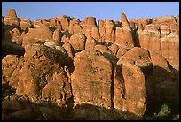 Sandstone fins at Fiery Furnace, sunset. Arches National Park, Utah, USA. (color)