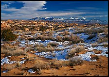 Petrified dunes, ancient dunes turned to slickrock, and La Sal mountains, winter afternoon. Arches National Park ( color)
