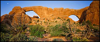 landscape arch national park