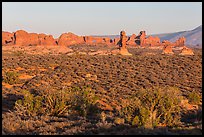 Desert shrub, flatlands, and Windows group in distance. Arches National Park, Utah, USA. (color)