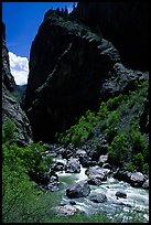 Gunisson river near the Narrows. Black Canyon of the Gunnison National Park ( color)