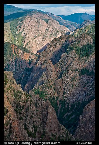 Tomichi Point view, late afternoon. Black Canyon of the Gunnison National Park (color)