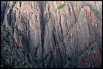 Striated rock walls. Black Canyon of the Gunnison National Park, Colorado, USA. (color)