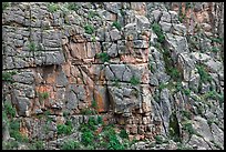 Fractured rock wall. Black Canyon of the Gunnison National Park, Colorado, USA. (color)