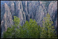 Pegmatite dikes. Black Canyon of the Gunnison National Park ( color)