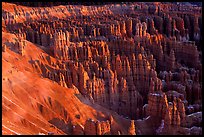 Silent City dense cluster of hoodoos from Bryce Point, sunrise. Bryce Canyon National Park, Utah, USA. (color)