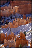 Snowy ridges and hoodoos, Bryce Amphitheater, early morning. Bryce Canyon National Park ( color)