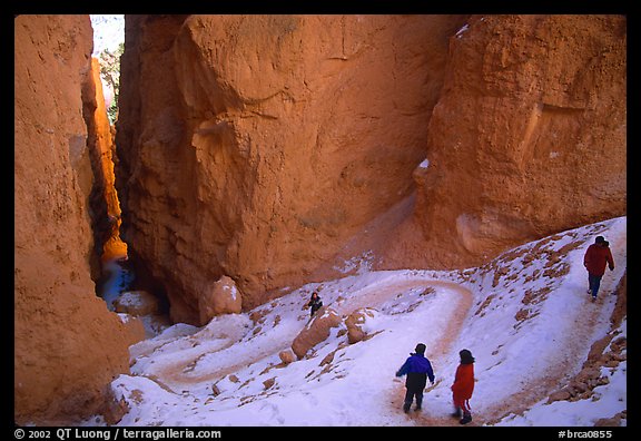 Hikers descending trail in Wall Street Gorge. Bryce Canyon National Park, Utah, USA.