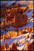 Bryce Amphitheater from Sunrise Point, winter sunrise. Bryce Canyon National Park ( color)