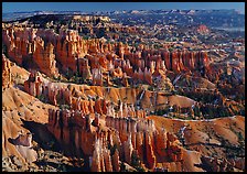 View of Queens Garden spires from Sunset Point, morning. Bryce Canyon National Park, Utah, USA.