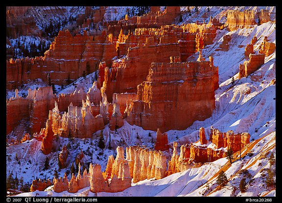 Rock spires and snow seen from Sunrise Point in winter, early morning. Bryce Canyon National Park (color)